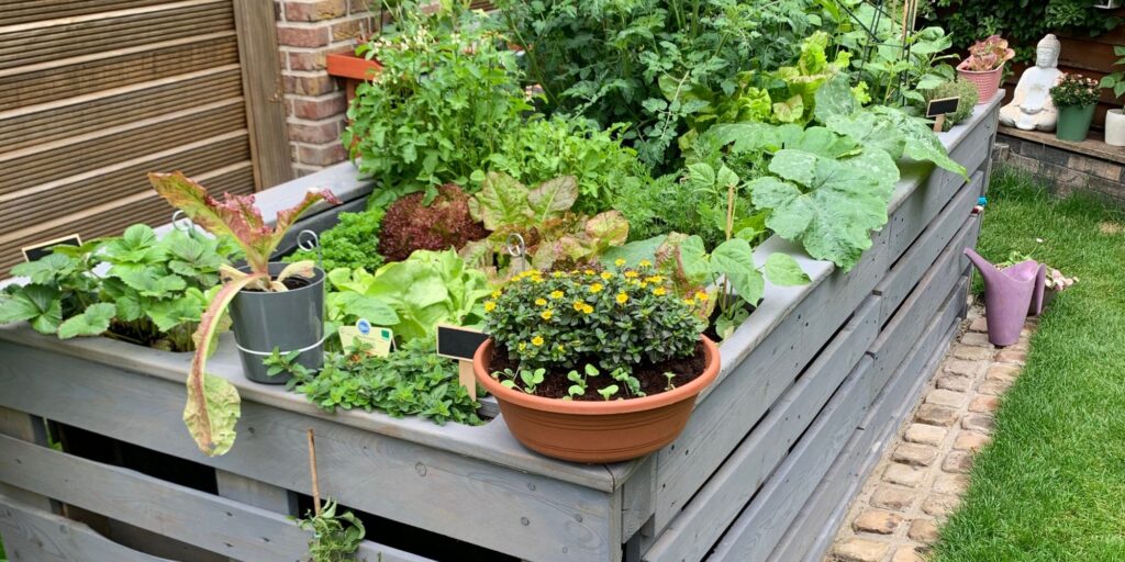 raised garden bed tips for senior gardeners